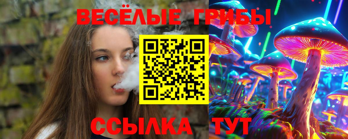 Галлюциногенные грибы Psilocybe  Вход с VPN  Родники  Галлюциногенные грибы Psilocybine cubensis 